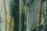 Freestanding Gary Green Jasper (Larsonite) Bog Wood - Oregon #377944-1